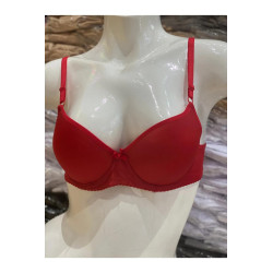 Padded Basic Bra